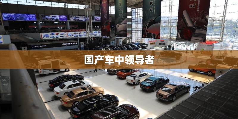 国产车中领导者