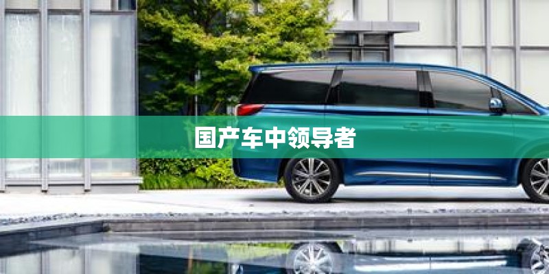 国产车中领导者