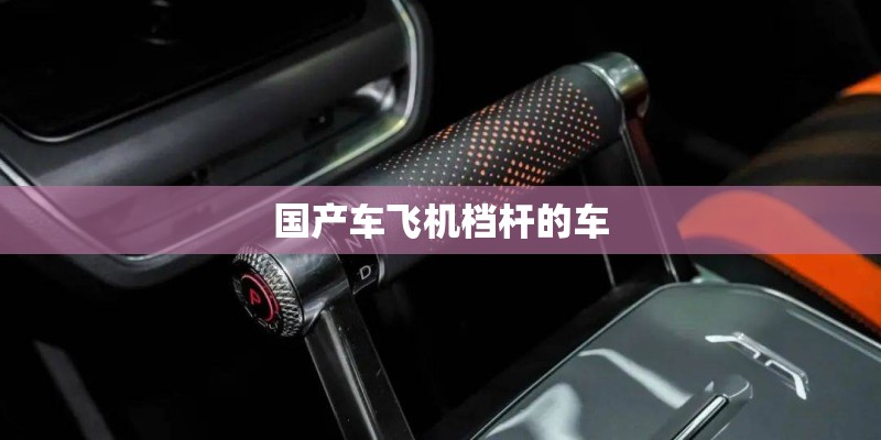 国产车中领导者