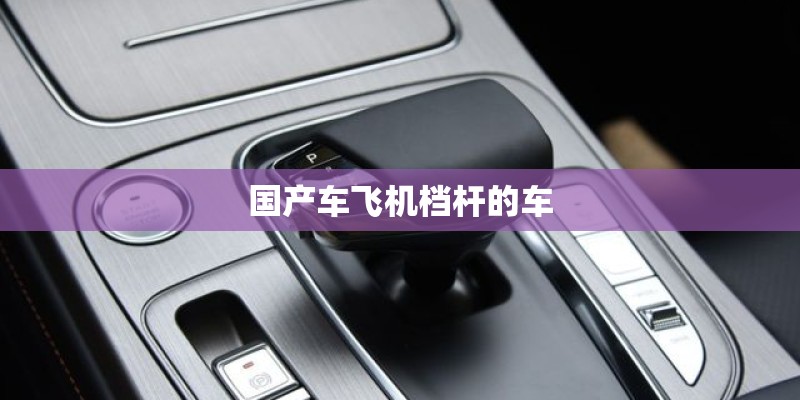 国产车飞机档杆的车 国产车飞机档杆的车