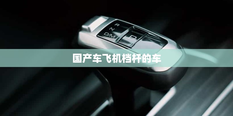 国产车飞机档杆的车 国产车飞机档杆的车