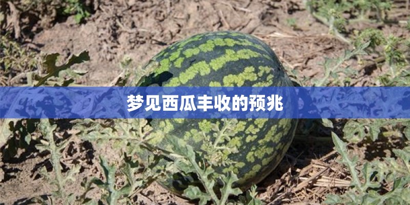 帅哥在家如何练乒乓球