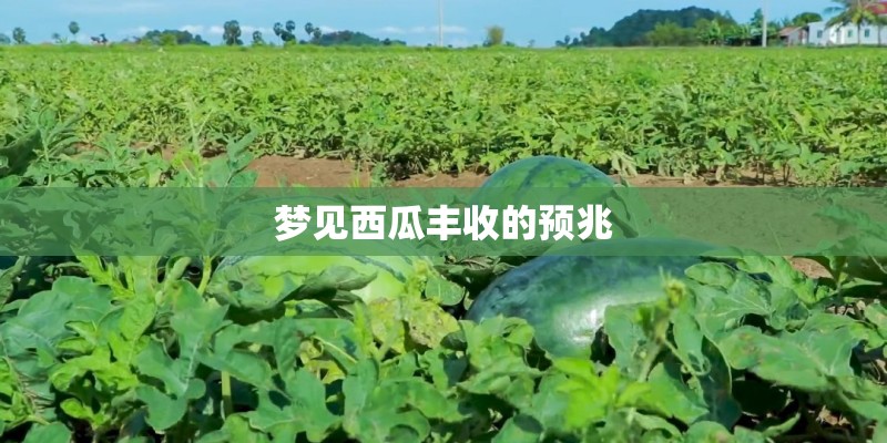 梦见西瓜丰收的预兆 梦见西瓜丰收的预兆