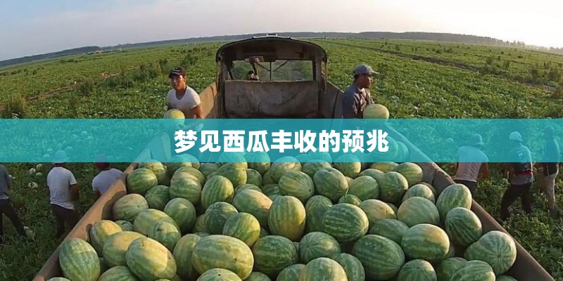 梦见西瓜丰收的预兆 梦见西瓜丰收的预兆