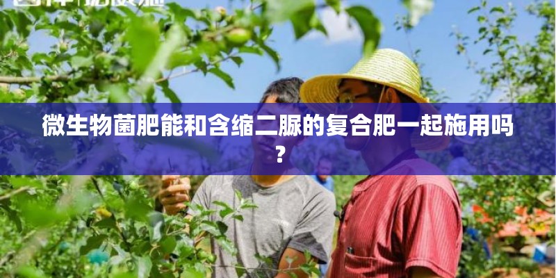 微生物菌肥能和含缩二脲的复合肥一起施用吗？
