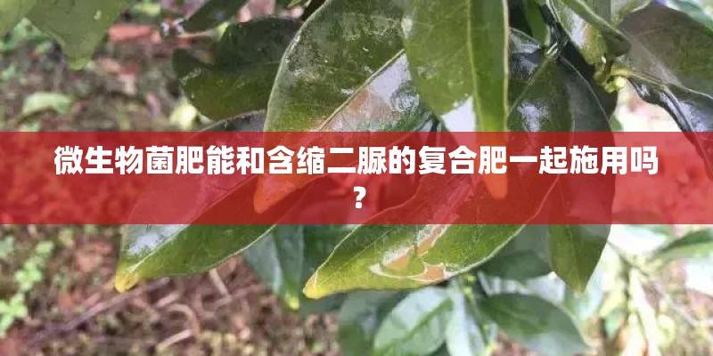 笔记本的独立显卡怎么开