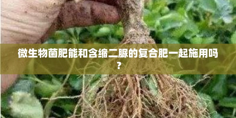 微生物菌肥能和含缩二脲的复合肥一起施用吗？