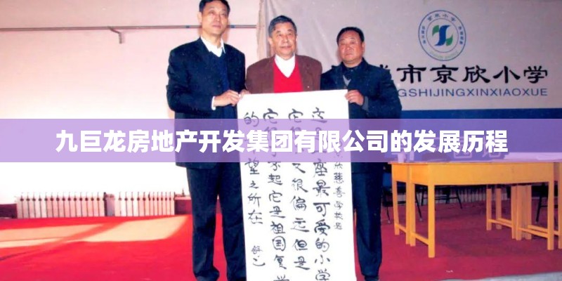 九巨龙房地产开发集团有限公司的发展历程 九巨龙房地产开发集团有限公司的发展历程