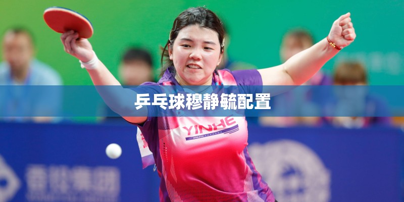 乒乓球穆静毓配置 乒乓球穆静毓配置