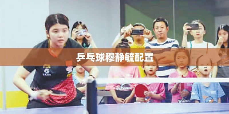 乒乓球穆静毓配置 乒乓球穆静毓配置