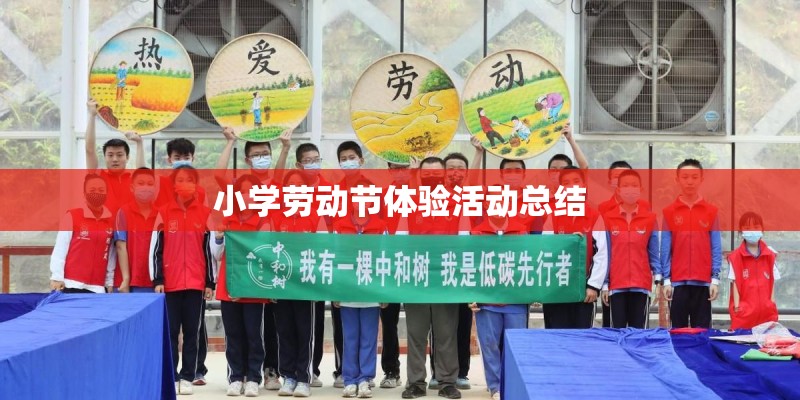 乒乓球穆静毓配置