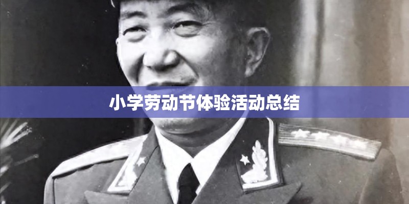 小学劳动节体验活动总结 小学劳动节体验活动总结