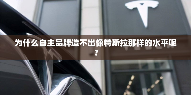 为什么自主品牌造不出像特斯拉那样的水平呢? 为什么自主品牌造不出像特斯拉那样的水平呢?