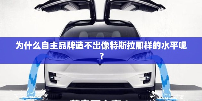 为什么自主品牌造不出像特斯拉那样的水平呢? 为什么自主品牌造不出像特斯拉那样的水平呢?