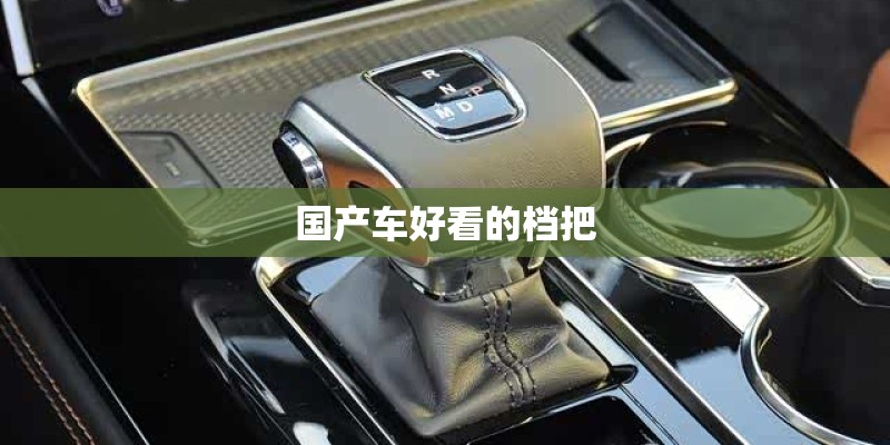国产车好看的档把