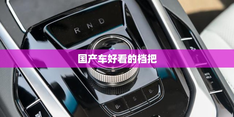 国产车好看的档把