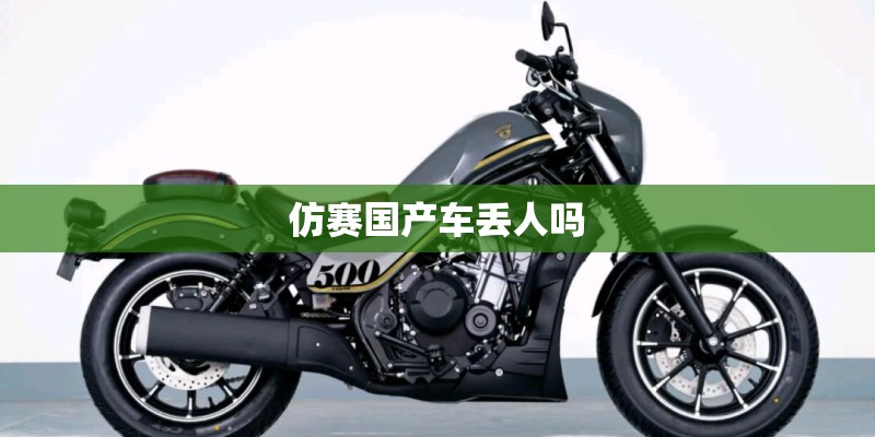 仿赛国产车丢人吗 仿赛国产车丢人吗