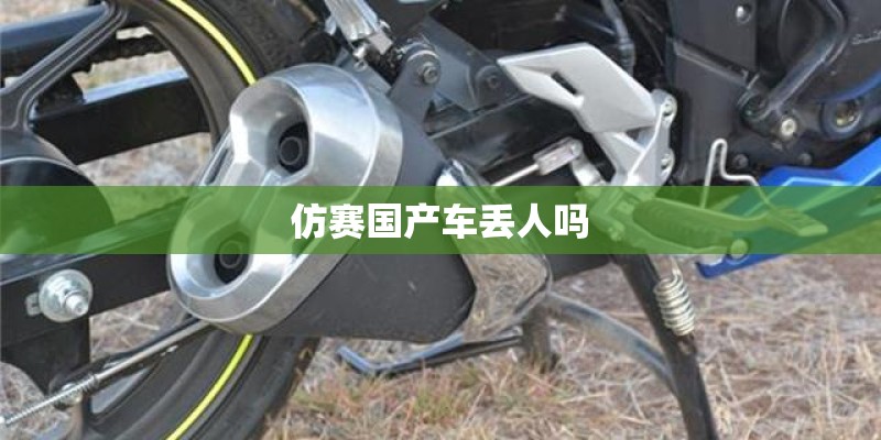 仿赛国产车丢人吗 仿赛国产车丢人吗