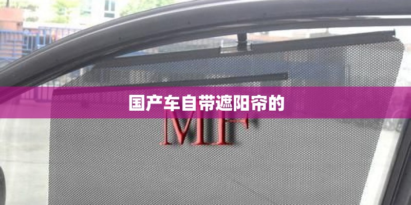 国产车自带遮阳帘的 国产车自带遮阳帘的