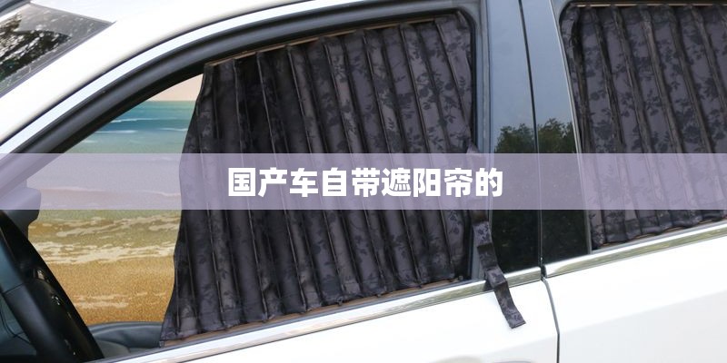 国产车自带遮阳帘的 国产车自带遮阳帘的