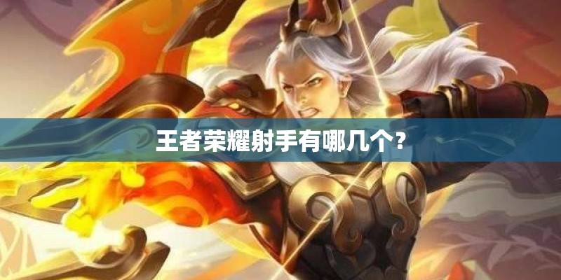 王者荣耀射手有哪几个? 王者荣耀射手有哪几个?