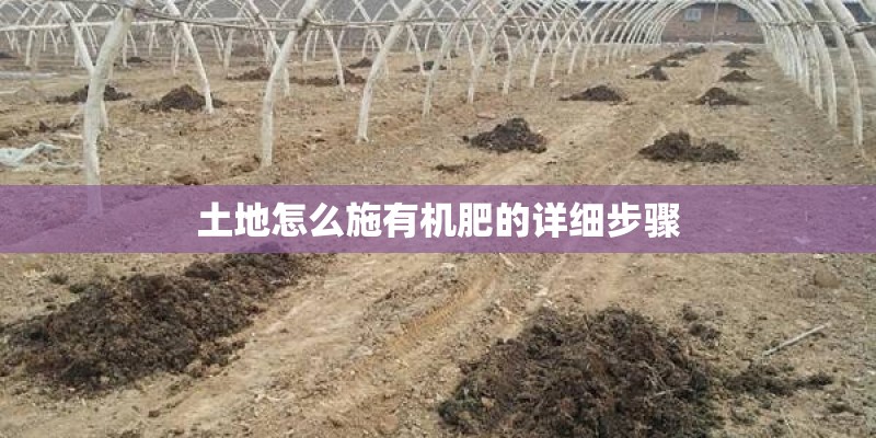 土地怎么施有机肥的详细步骤