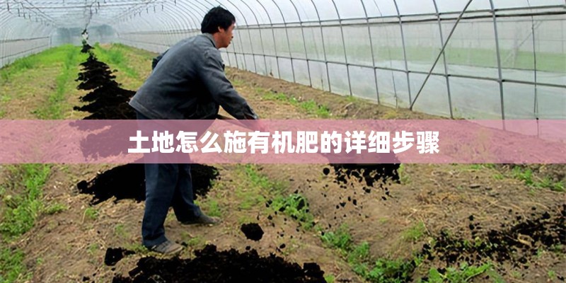 岛石镇的区域概况