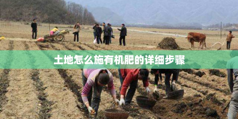 土地怎么施有机肥的详细步骤
