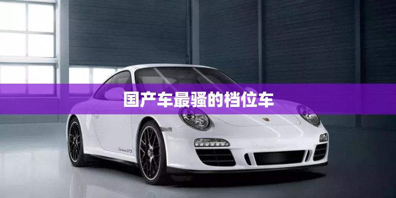 国产车最骚的档位车