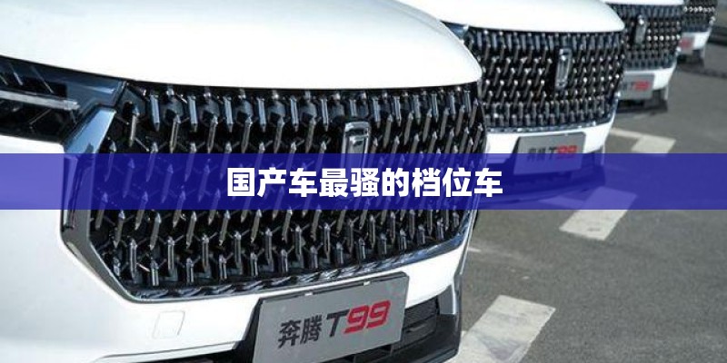 国产车最骚的档位车