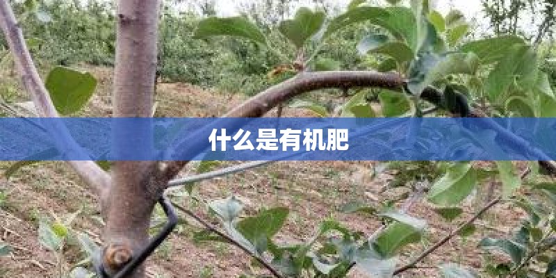 什么是有机肥