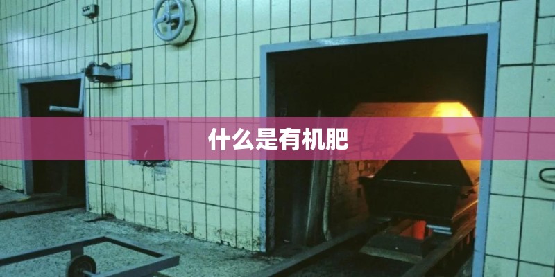 什么是有机肥