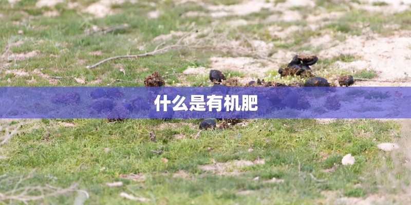 什么是有机肥