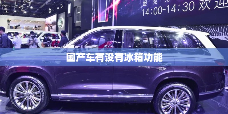 国产车有没有冰箱功能 国产车有没有冰箱功能
