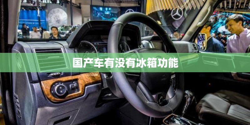 国产车有没有冰箱功能 国产车有没有冰箱功能