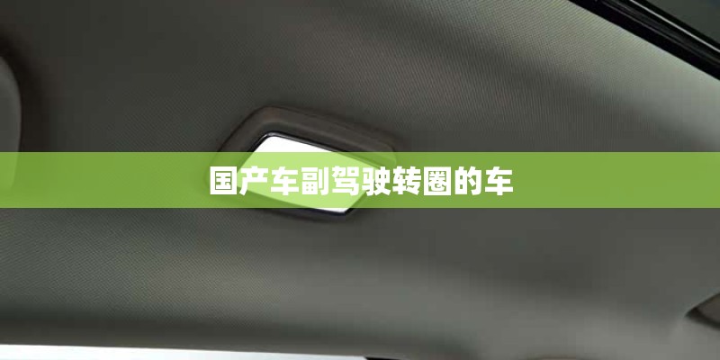 国产车副驾驶转圈的车