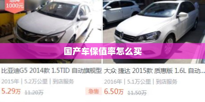 国产车保值率怎么买