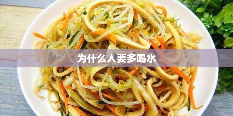 为什么人要多喝水