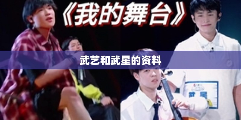 武艺和武星的资料 武艺和武星的资料