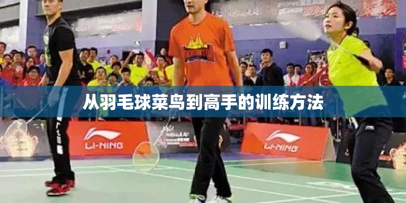 从羽毛球菜鸟到高手的训练方法 从羽毛球菜鸟到高手的训练方法