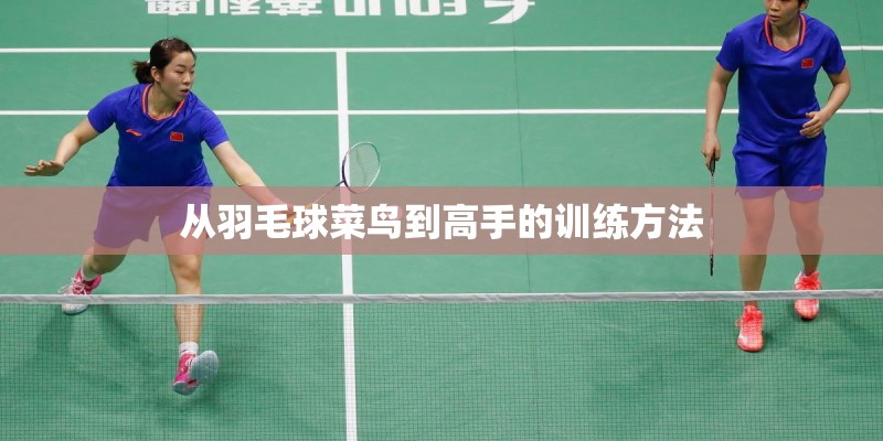 从羽毛球菜鸟到高手的训练方法 从羽毛球菜鸟到高手的训练方法