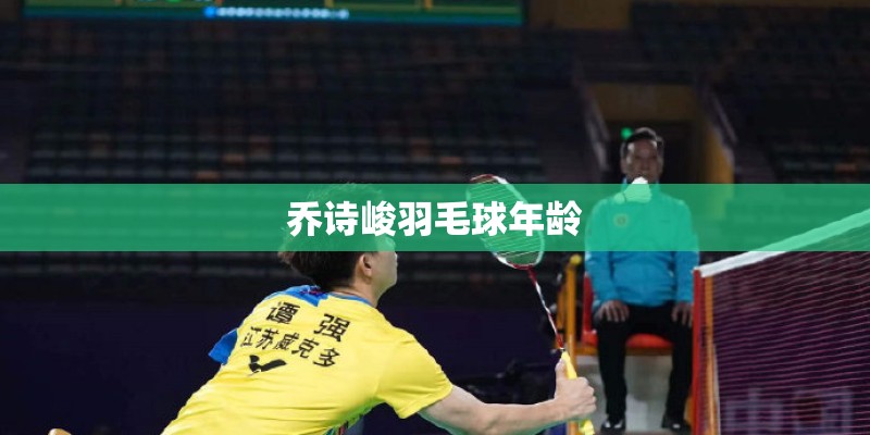 从羽毛球菜鸟到高手的训练方法