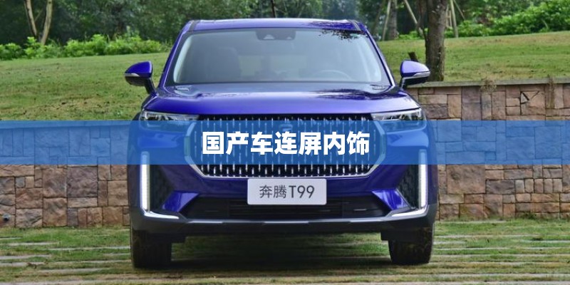 国产车连屏内饰