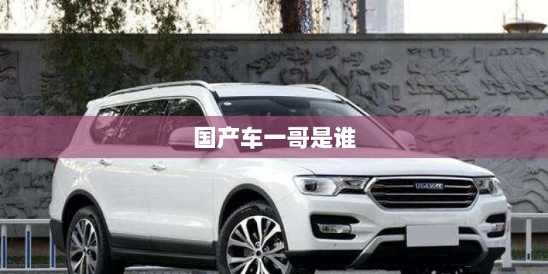 国产车一哥是谁