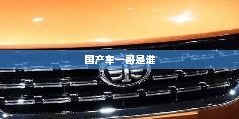 国产车一哥是谁