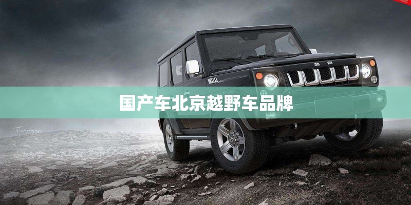 国产车一哥是谁