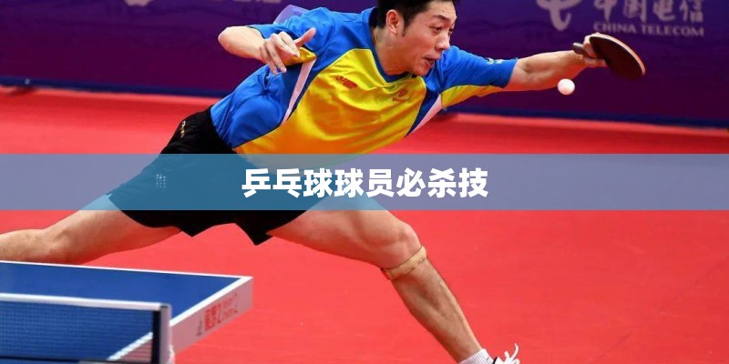 乒乓球球员必杀技