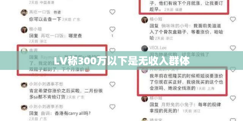 LV称300万以下是无收入群体 LV称300万以下是无收入群体