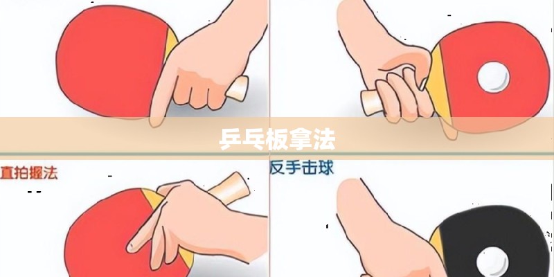 乒乓板拿法 乒乓板拿法