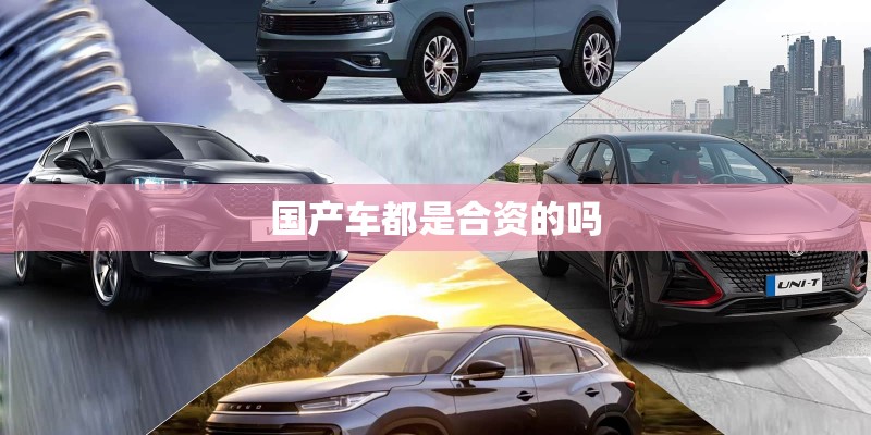 国产车都是合资的吗
